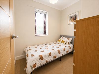 Picture 27